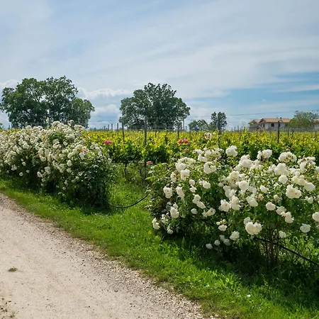 Grappolo Rosso By Interhome Apartament *