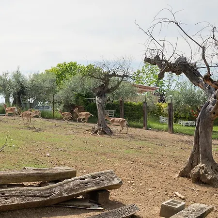 Grappolo Rosso By Interhome شقة *