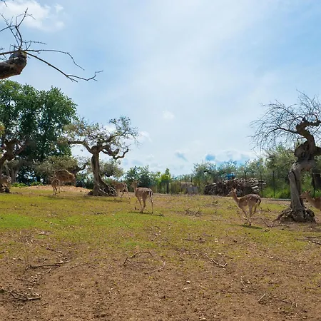 Grappolo Rosso By Interhome