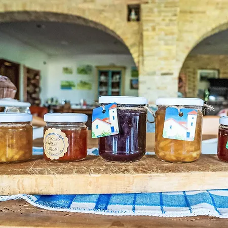 Grappolo Rosso By Interhome * Citta Sant'Angelo