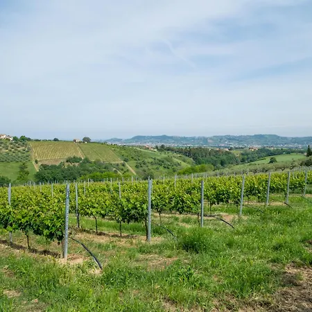 شقة Grappolo Rosso By Interhome