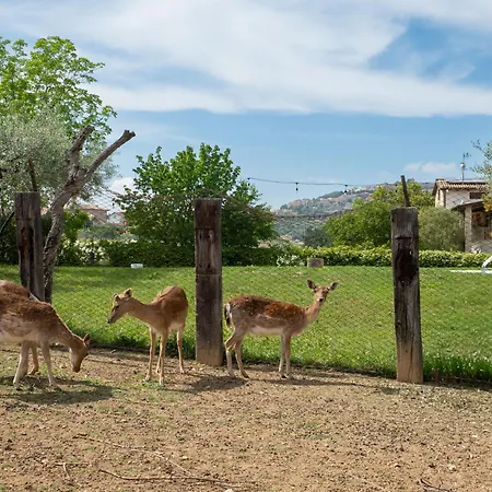 Grappolo Rosso By Interhome *