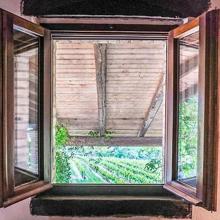 Grappolo Rosso By Interhome * Citta Sant'Angelo