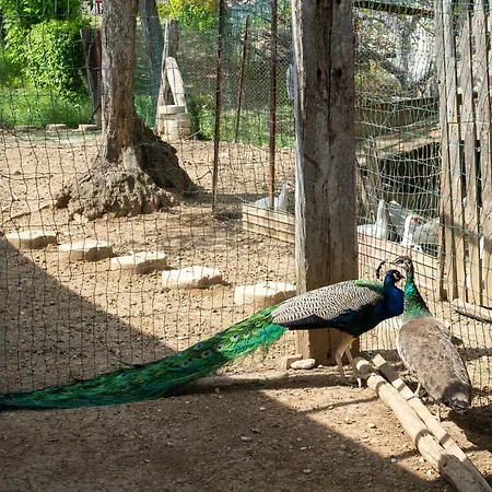 Grappolo Rosso By Interhome Apartament