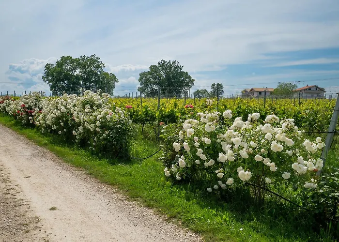 Grappolo Rosso By Interhome Διαμέρισμα *