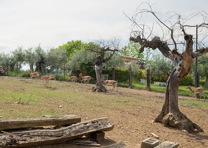 Grappolo Rosso By Interhome Διαμέρισμα *