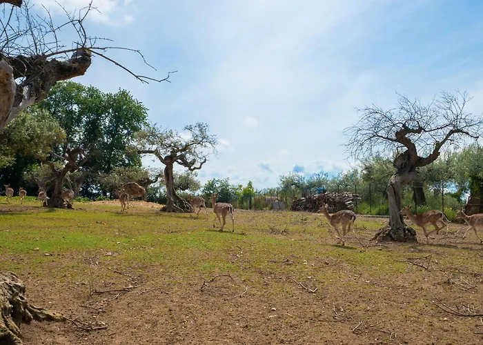 Grappolo Rosso By Interhome