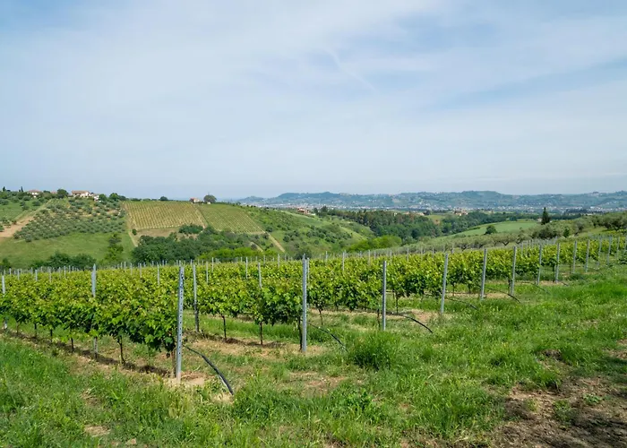 Διαμέρισμα Grappolo Rosso By Interhome