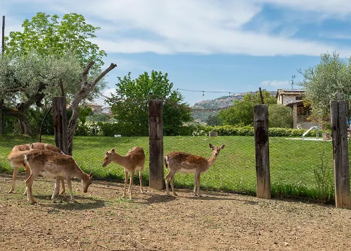 Grappolo Rosso By Interhome *