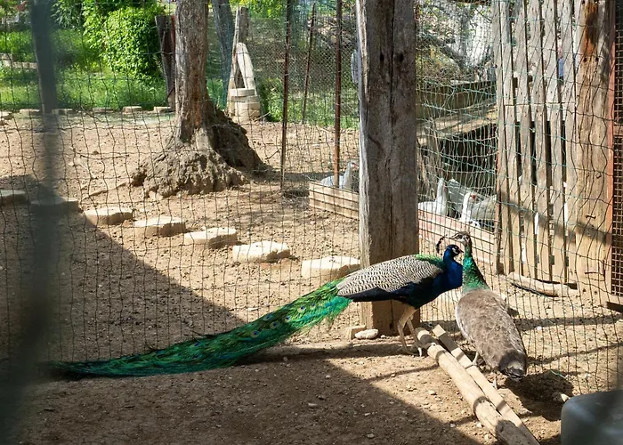 Grappolo Rosso By Interhome Appartement